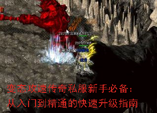 ̬ٴ˽ֱرŵͨĿָ