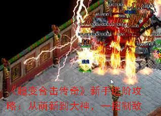 ϻ桷ֽ׹ԣµһƵ