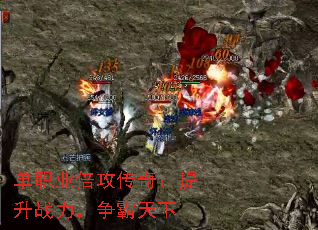 ְҵ棺ս