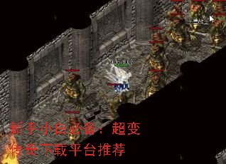 Сױر䴫ƽ̨Ƽ