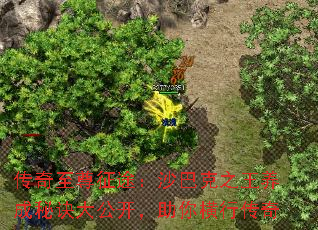 ;ɳͿ֮ؾ󹫿д