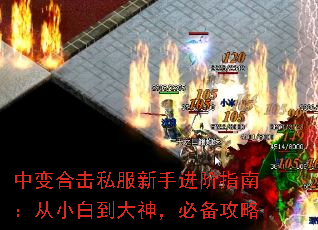 бϻ˽ָֽϣС׵񣬱ر
