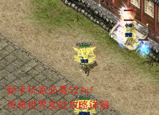 ұؿ523sfʵս