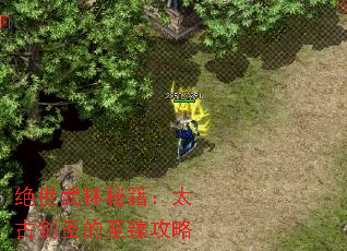 ؼ̫Žʥ鹥