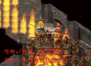 sfϻݺ귨½