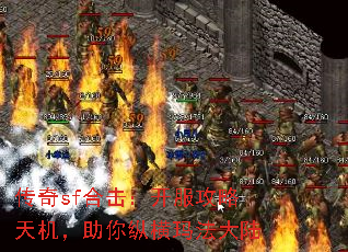 sfϻݺ귨½