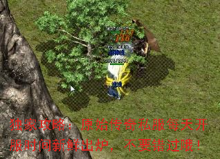 ҹԣԭʼ˽ÿ쿪ʱʳ¯ҪŶ