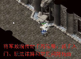 õ崫˽š淨ͳָ