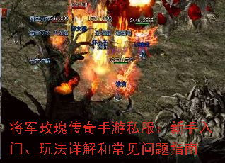 õ崫˽š淨ͳָ