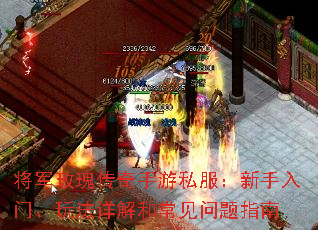 õ崫˽š淨ͳָ