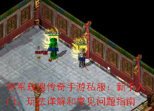 õ崫˽š淨ͳָ