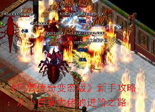 ƴ̬桷ֹԣС׵еĽ֮·