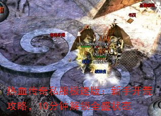 Ѫ˽ٰ棺ֿĹԣ10ӽȫʢ״̬