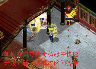 ڰδ˽пֱؿʴ