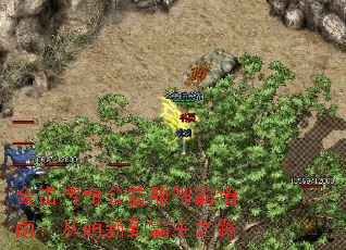 ϻ湫ưָϣµ֮·