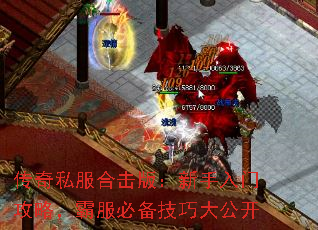 ˽ϻ棺ŹԣԷرɴ󹫿