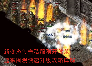 ±̬˽տɱΧۿ