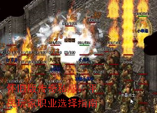 ɰ洫˽ƽְҵѡָ