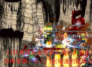 185Ӣۺϻ˽sfֹԱ䣺ŵͨĽָ