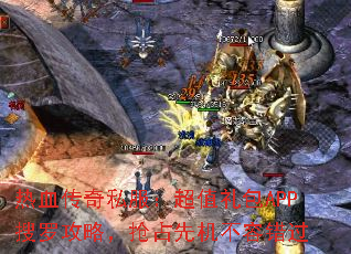 Ѫ˽ֵAPP޹ԣռȻݴ