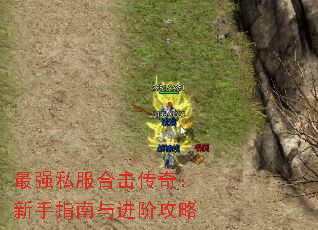 ǿ˽ϻ棺ָ׹