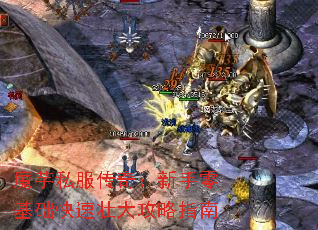 ħ˽棺׳ָ