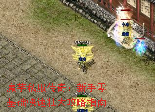 ħ˽棺׳ָ