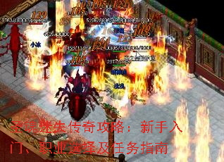 ʥʧ湥ԣšְҵѡָ