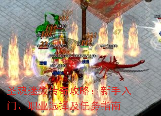 ʥʧ湥ԣšְҵѡָ