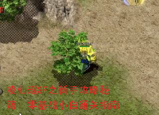 SFֹ֮ؼСָͨ