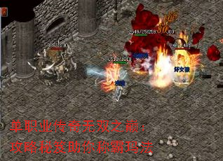 ְҵ˫ۣ֮ư귨