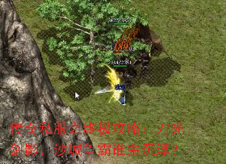 ˽֮ռԣ⽣Ӱɳ˭