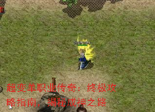 䵥ְҵ棺ռָϣس֮·