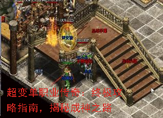 䵥ְҵ棺ռָϣس֮·