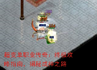 䵥ְҵ棺ռָϣس֮·