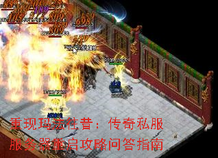 귨˽ʴָ