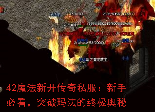 42ħ¿˽ֱؿͻ귨ռ