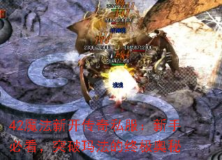 42ħ¿˽ֱؿͻ귨ռ