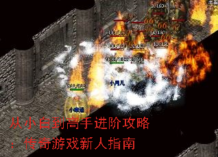 С׵ֽ׹ԣϷָ