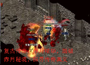Ŵ棺¾̤Ƴؾ̽Ѱ