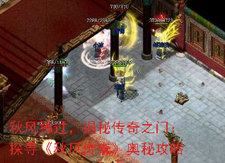 ش֮ţ̽Ѱ紫桷ع