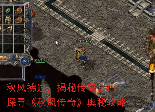 ش֮ţ̽Ѱ紫桷ع
