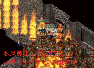 ش֮ţ̽Ѱ紫桷ع
