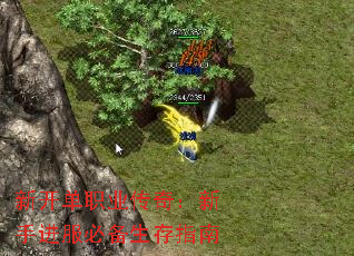 ¿ְҵ棺ֽرָ