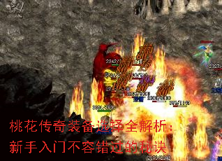 һװѡȫŲݴؾ