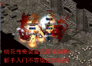 һװѡȫŲݴؾ
