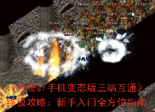 sfֻ̬˻ͨռԣȫλָ