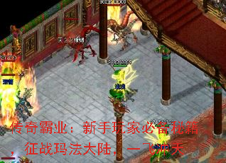 ҵұرؼս귨½һɳ