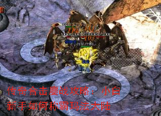 ϻսԣСγư귨½
