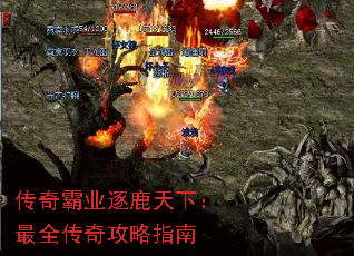 ҵ¹£ȫ湥ָ